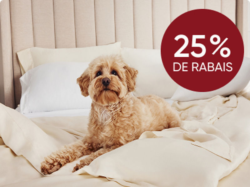 Chien sur des draps sur le lit