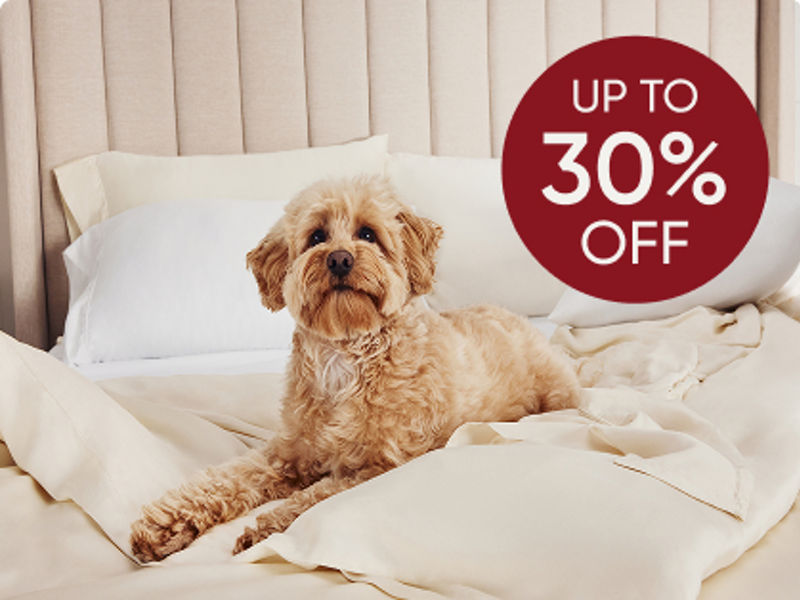 Dog on sheets on bed