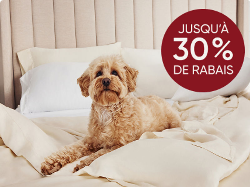 Chien sur des draps sur le lit