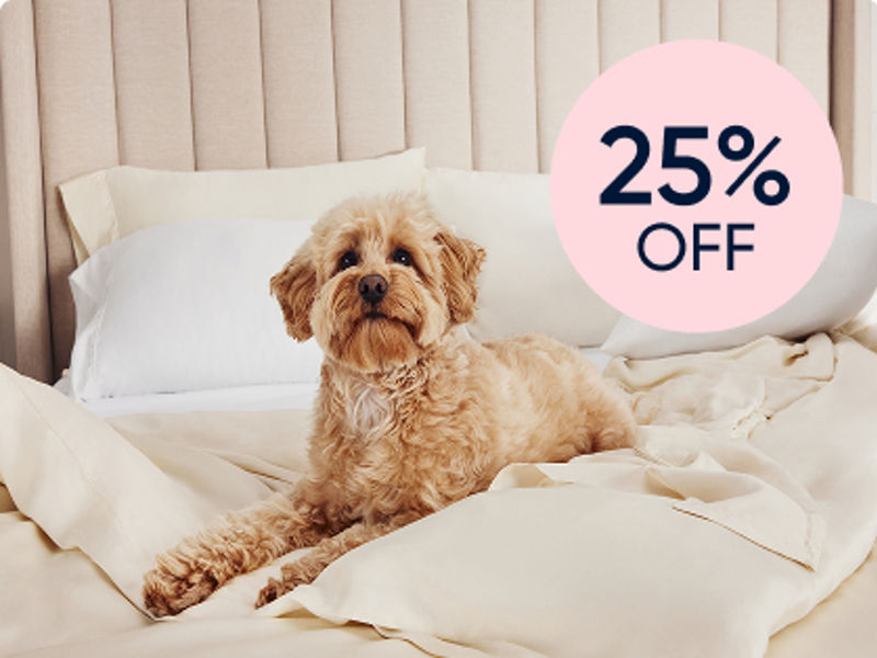 Dog on sheets on bed