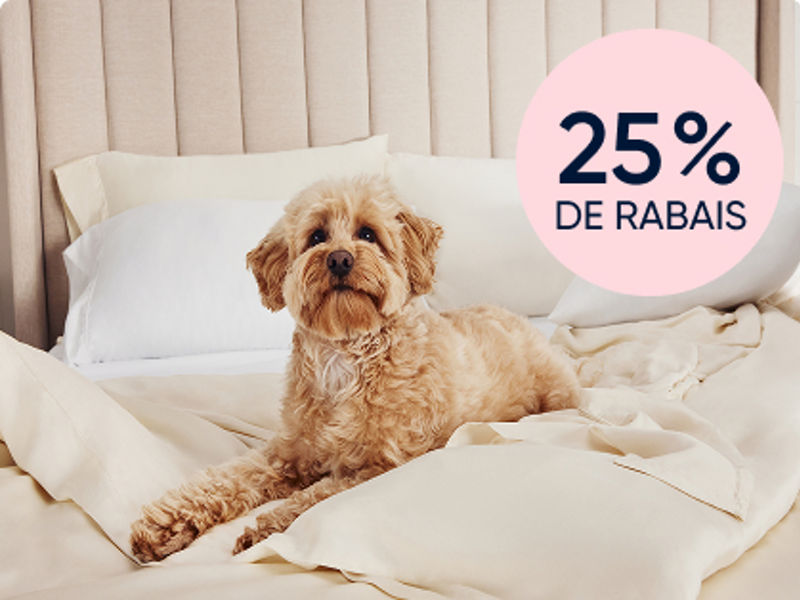 Chien sur des draps sur le lit