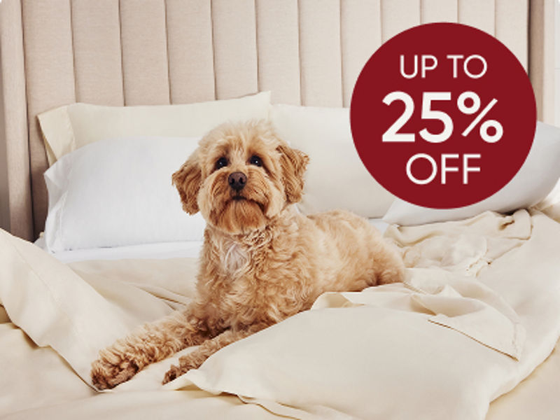 Dog on sheets on bed