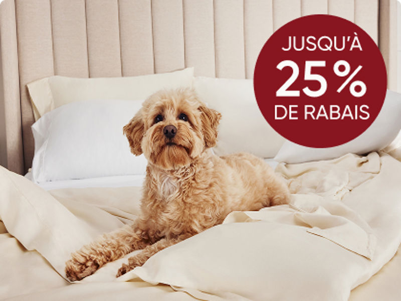 Chien sur des draps sur le lit