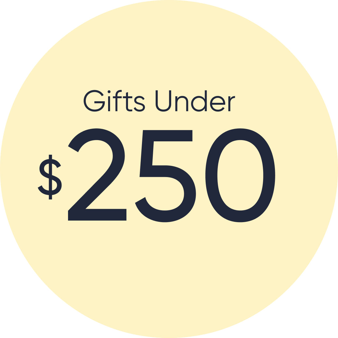 gift shop 250
