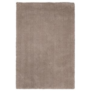 BL-1551-BE Area Rug