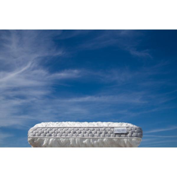 Aireloom Nimbus Low Profile Pillow Star Furniture