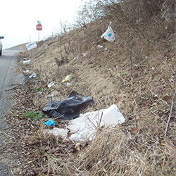 Roadside litter