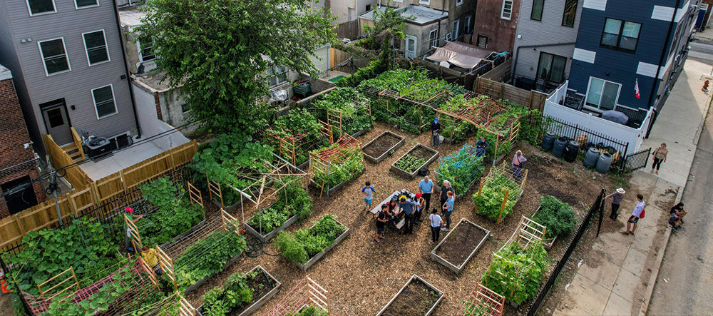 Urban Agriculture Week 2021