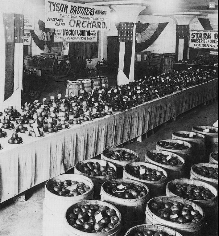 Historic Photo from the Pennsylvania Farm Show, apples