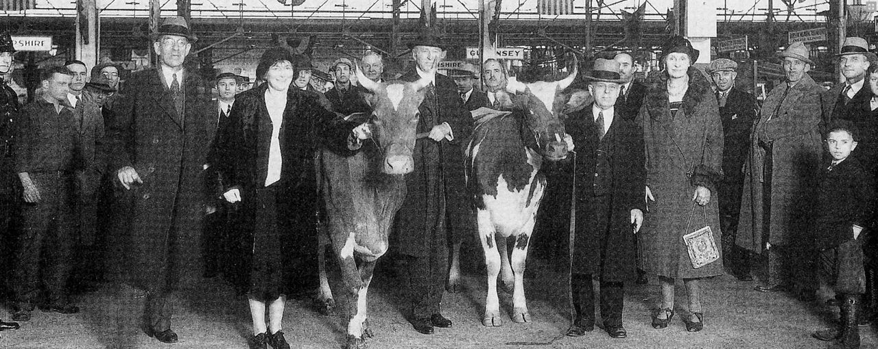 Historic Photo from the Pennsylvania Farm Show, cattle show