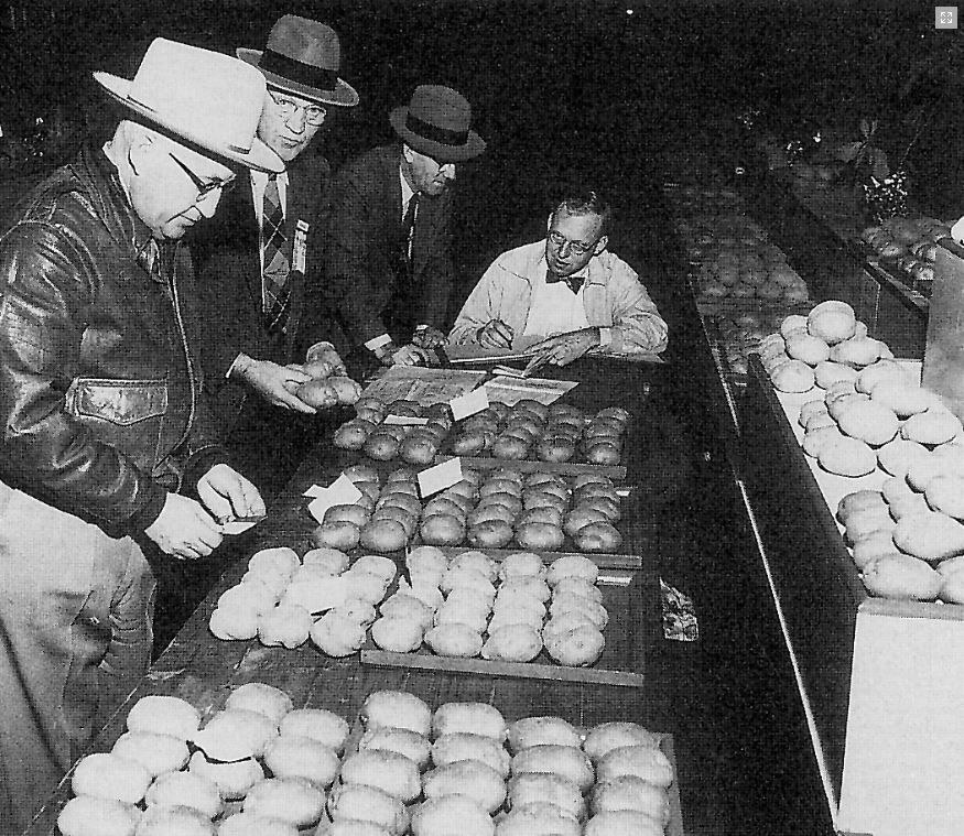 Historic Photo from the Pennsylvania Farm Show, potatoes