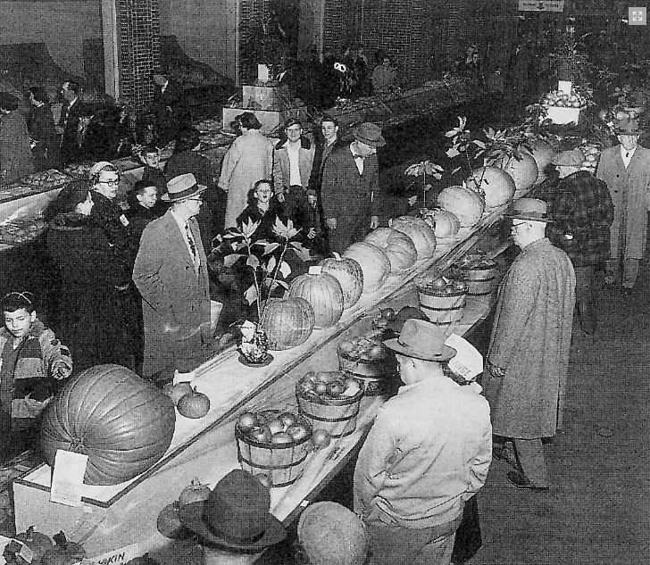 Historic Photo from the Pennsylvania Farm Show, pumpkins