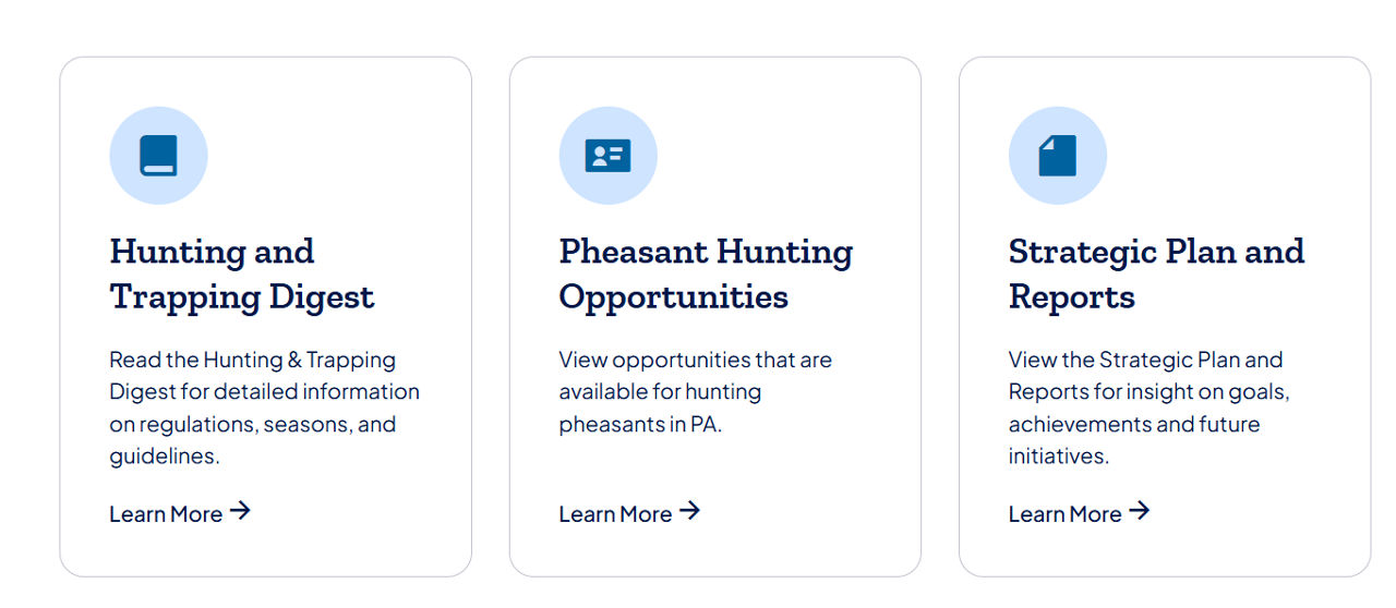 Figure D: Three-column icon Cards, with no title and no description, and visible link labels.