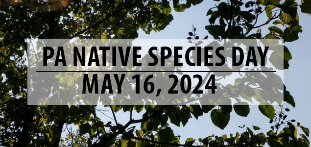 Pennsylvania Native Species Day, May 16th, 2024