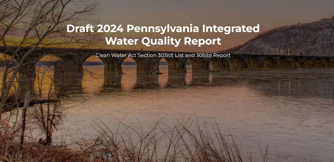 2024 Integrated Report 