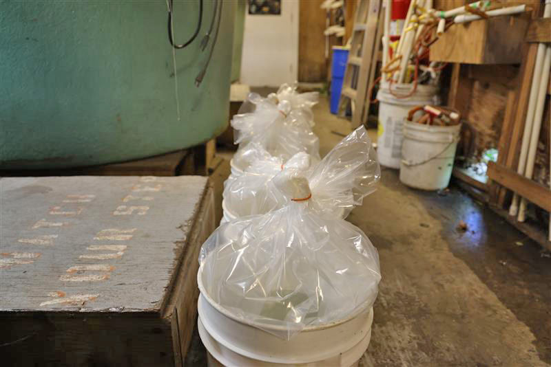 Inside the research station, a row of 5 5-gallon buckets with tied off plastic bags inside each.