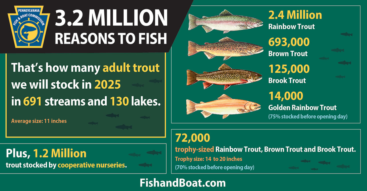 3.2 million reasons to fish. That's how many adult trout we will stock in 2025 in 691 streams and 130 lakes. Plus, 1.2 million trout stocked by cooperative nurseries. 2.4 million rainbow trout. 693,000 brown trout. 125,000 brook trout. 14,000 golden rainbow trout. 72,000 trophy-sized rainbow trout, brown trout, and brook trout. Trophy size is 14 to 20 inches. and 70% are stocked before opening day. FishandBoat.com