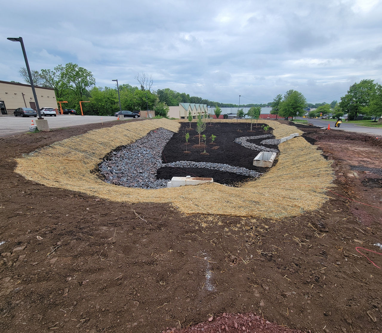 Several new trees planted in center of ring of dirt with some gravel and straw as well