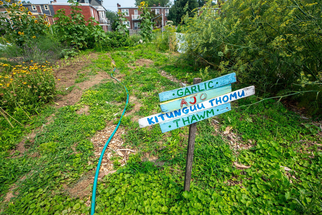 Lancaster Recreation Commissions' Bay Street Garden - 2026 Urban Ag Week
