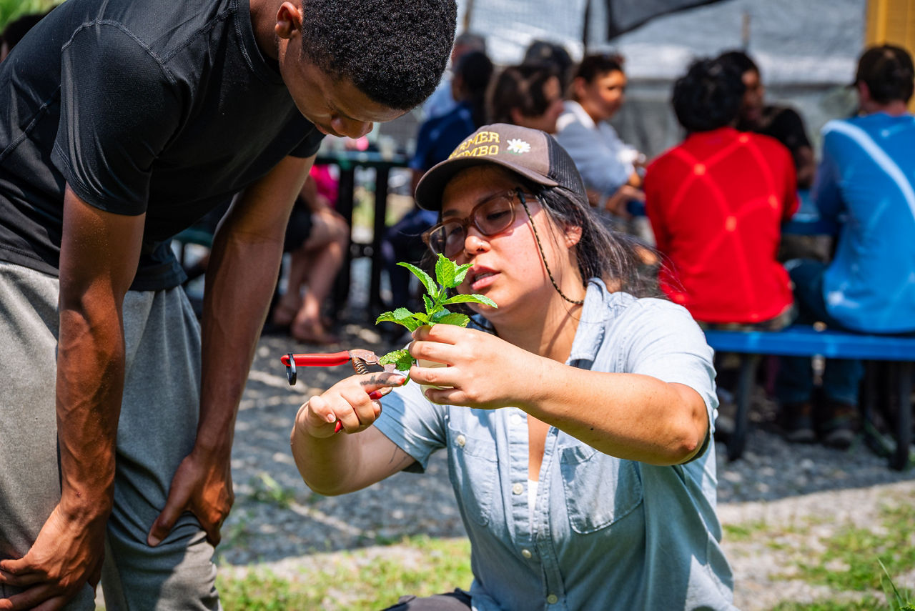 Oasis Farm worker showing mint to a student