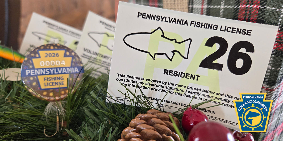 2026 pa fishing license and 2026 collectible fishing license button on holiday backdrop