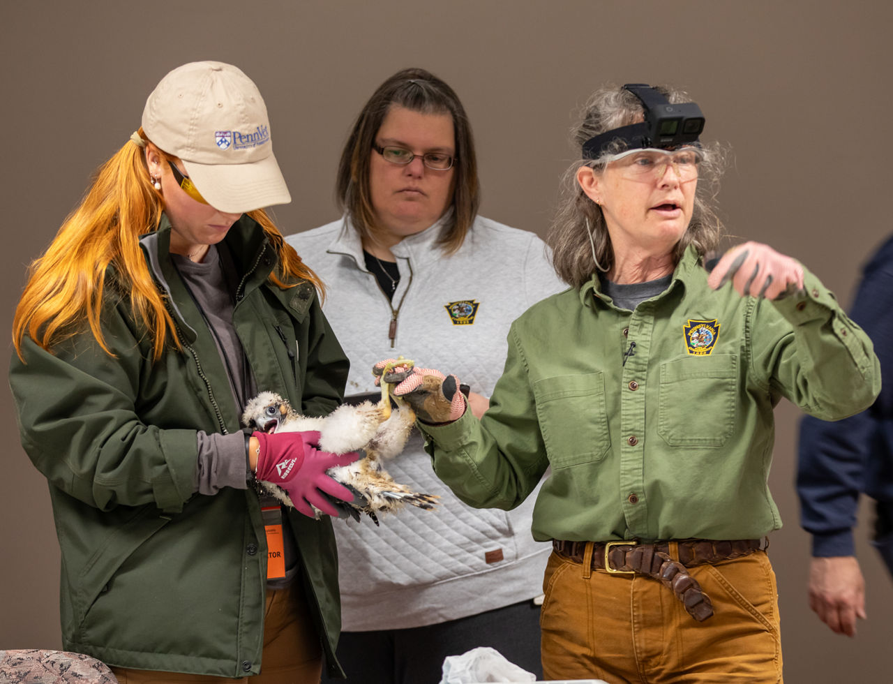 2025 Falcon Banding Event