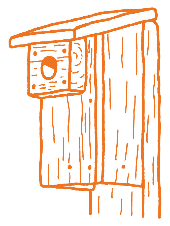 nest box illustration