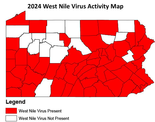 2024 West Nile Virus Activity Map