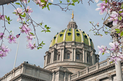 The Capitol Dome, with flowering trees