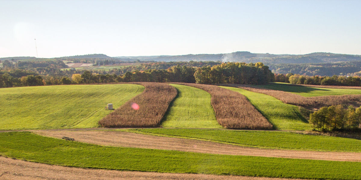 Agriculture Header image