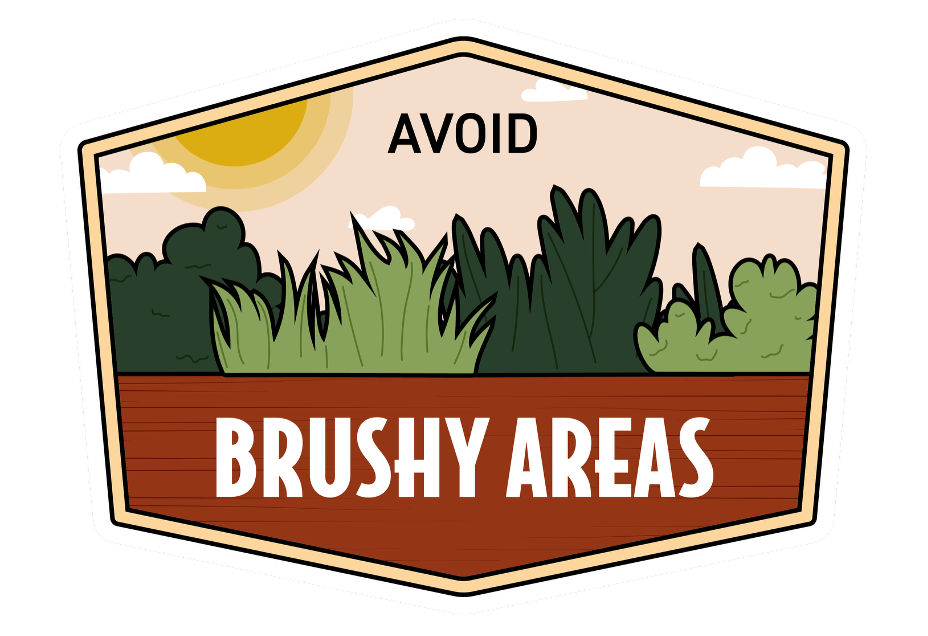 avoid brushy areas