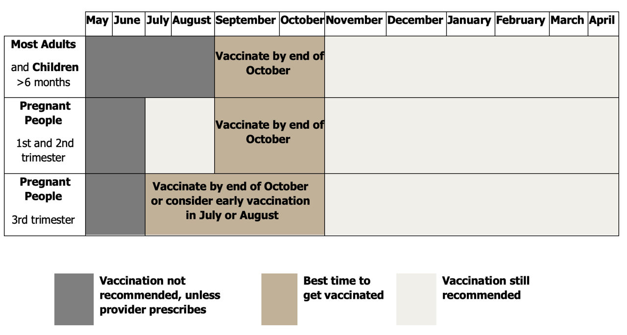 Flu vaccine timeline