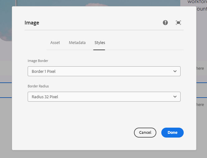 The Metadata tab in the Image authoring dialog.
