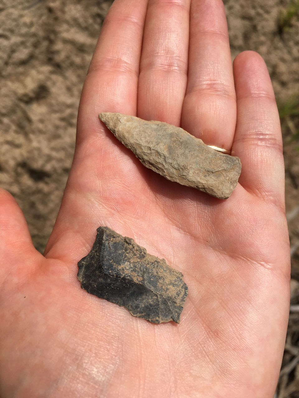 Lithic artifacts located by SHPO staff at a multi-component site on Three Mile Island (36DA0100) during a site visit in 2019.