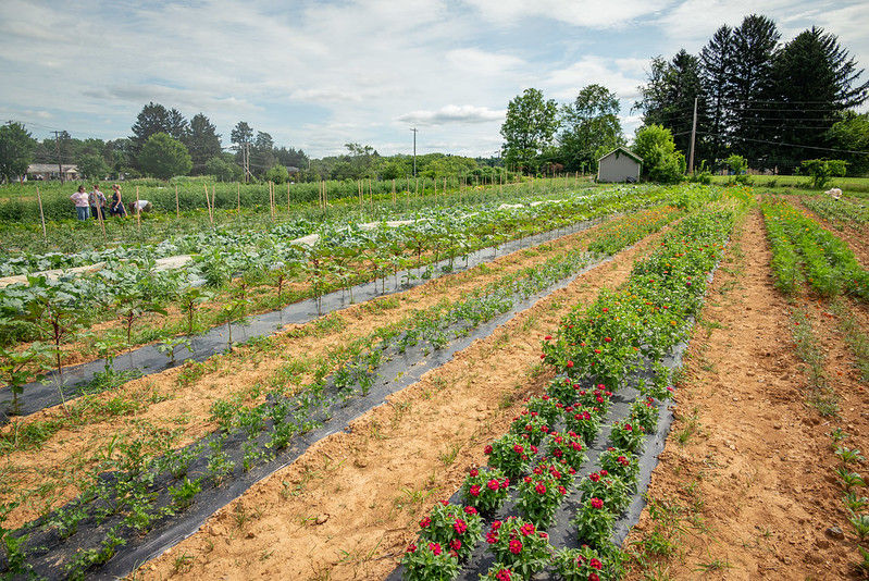 Monocacy Farm Project