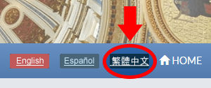 A red circle around the Chinese translate button