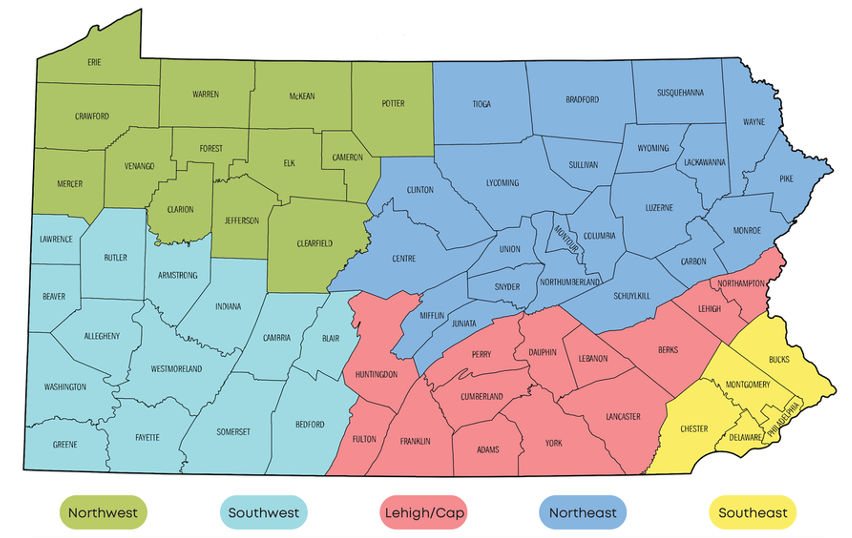 Regional Perinatal TiPS Teams