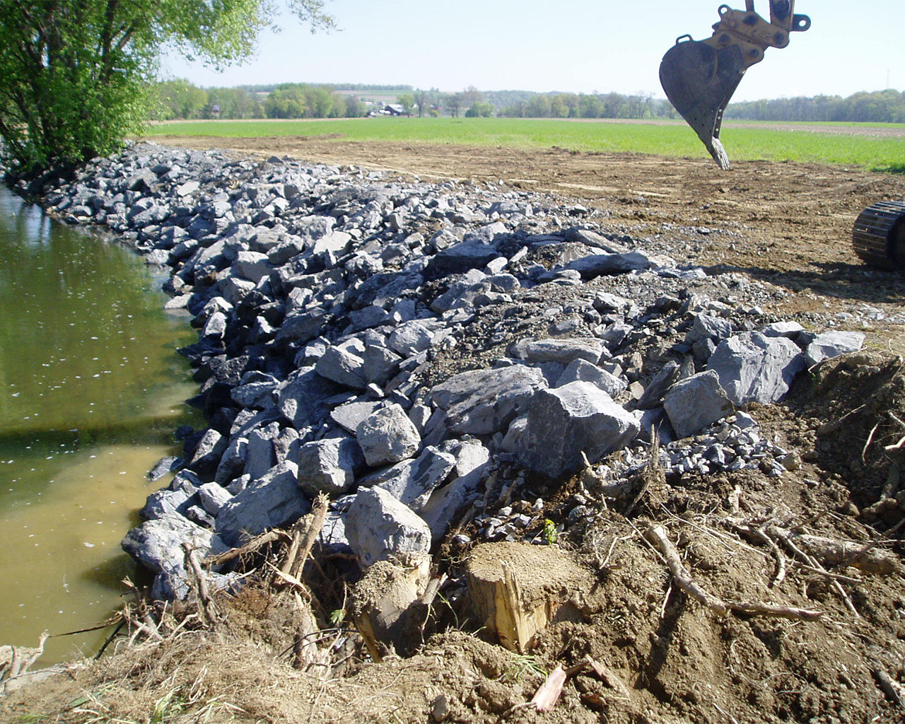 Picture of a riparian buffer agricultural non-point source project.