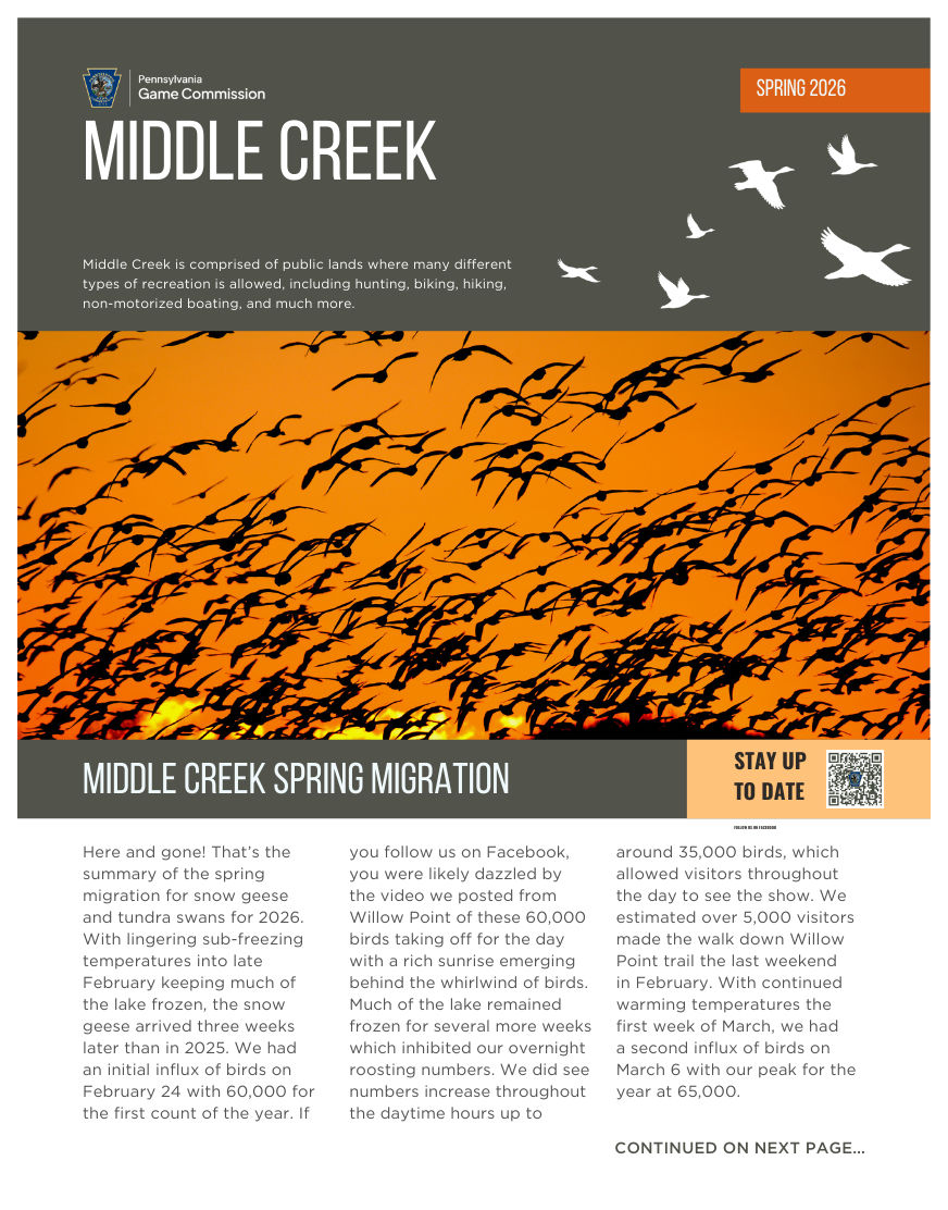middle creek winter newsletter 2024