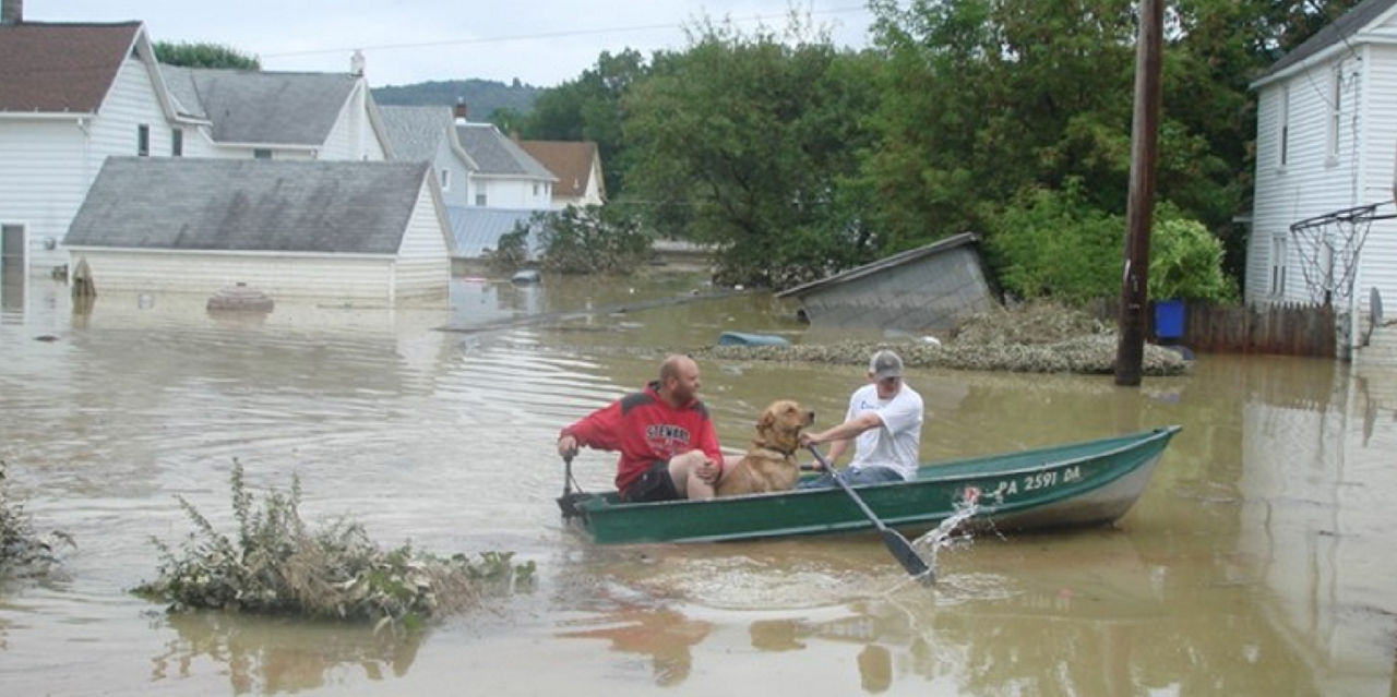 Two men and a dog row a boat to safety through flood water.