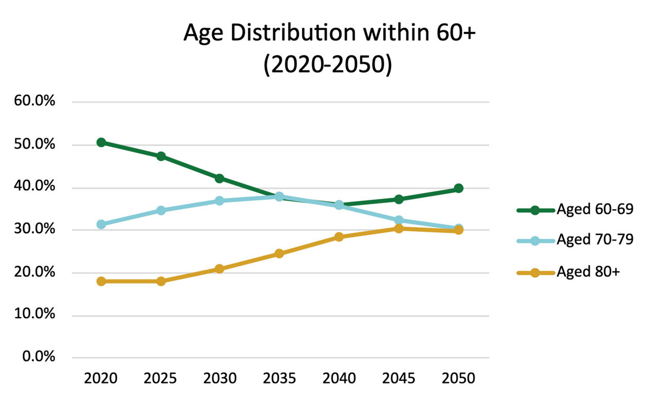 Age Distribution within 60+ (2020-2050)