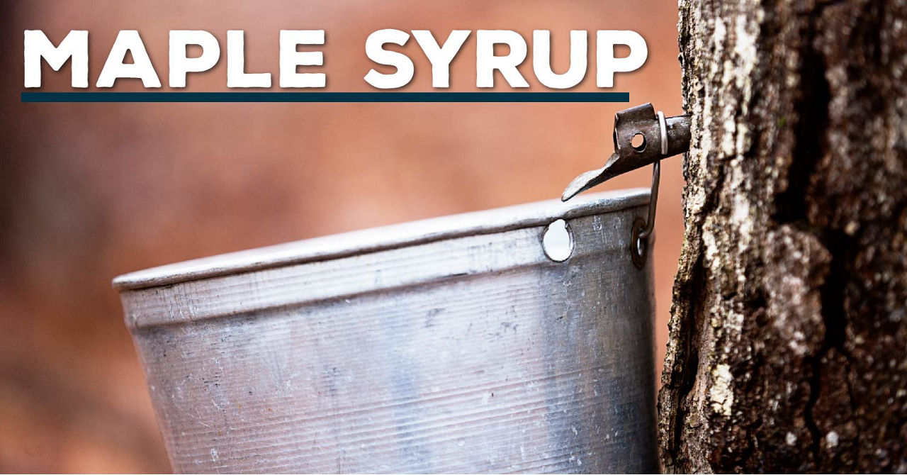 AgExplorer Maple Syrup Header