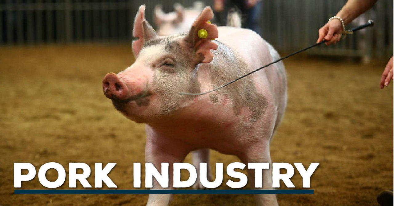 Pork Industry header