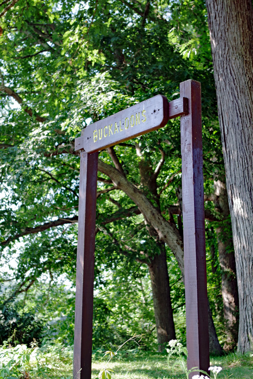 Close-up of the wooden Buckaloons Trail sign