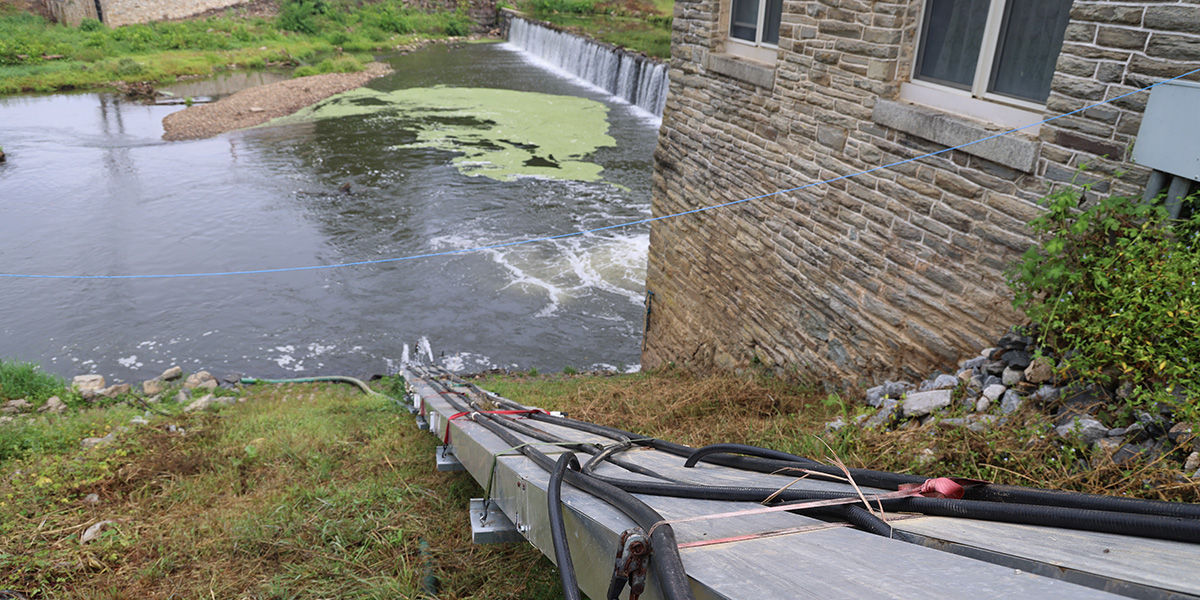 View looking down on a "eelway" (i.e. fish ladder) for juvenile eel to travel up into a collection tank to be transported upriver.