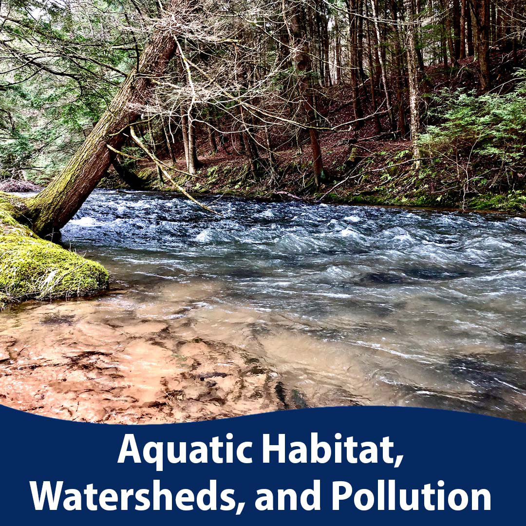 AquaticHabitat-Watersheds-Pollution_1080