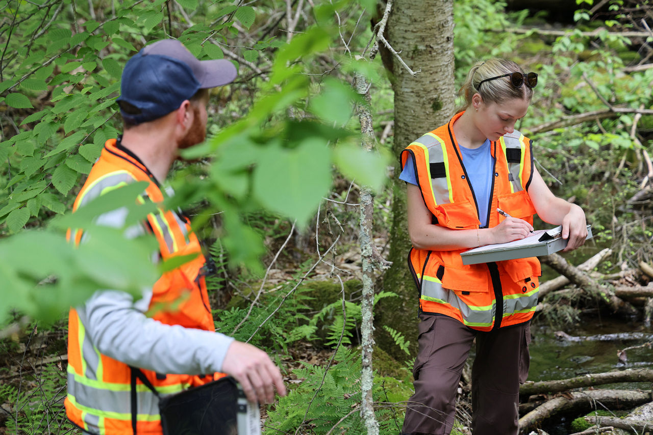 A man and woman wearing orange safety vests standing in a wooded area. The woman is taking notes on a clipboard