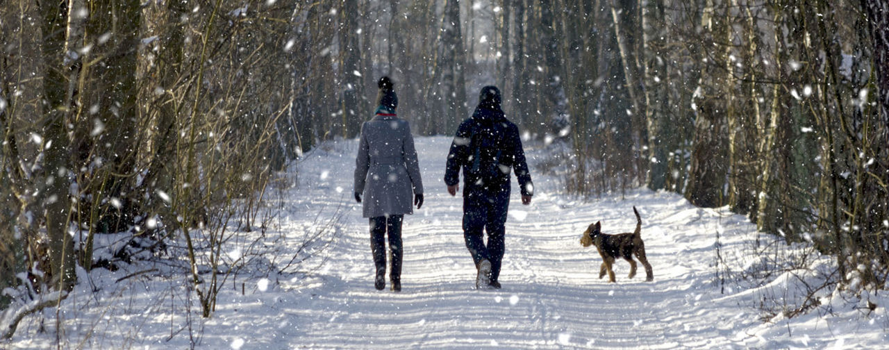 Multiple people walking down a path with snow on the ground