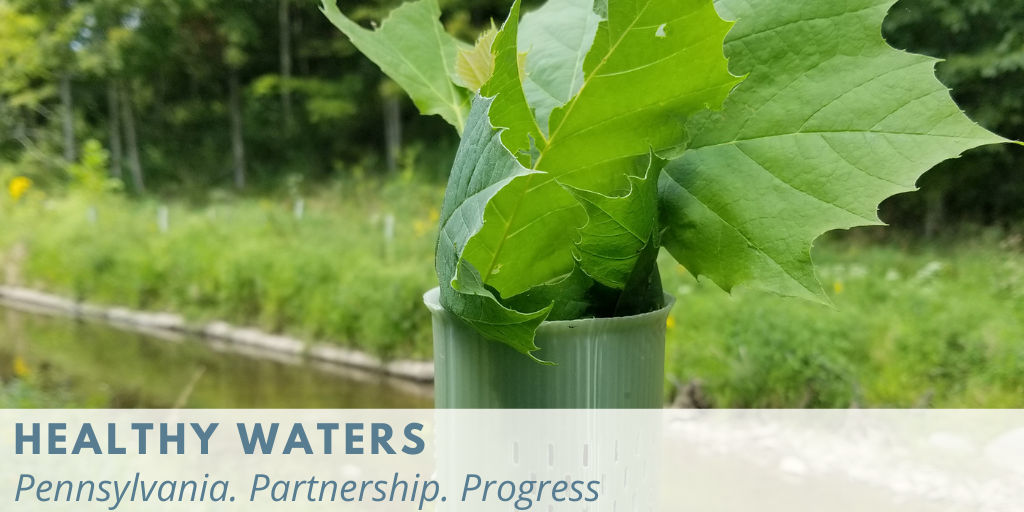 Healthy Waters Newsletter