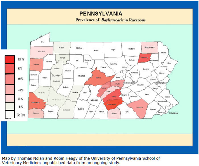 Map of prevalence of Baylisascaris in Raccoons in Pennsylvania